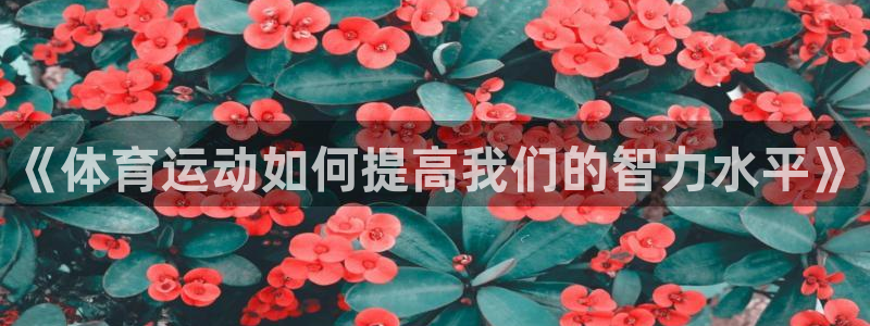 球王会体育