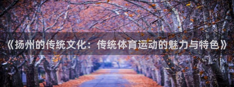 球王会体育