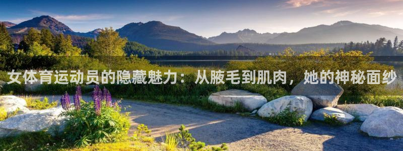球王会体育
