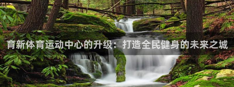球王会体育