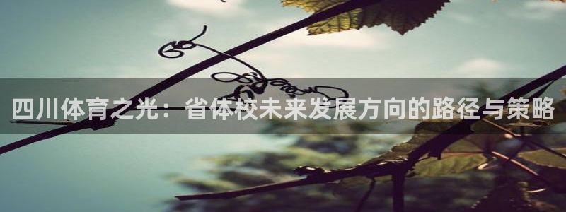 球王会体育：四川体育之光：省体校未来发展方向的路径与策略