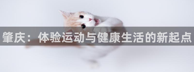 球王会体育：肇庆：体验运动与健康生活的新起点