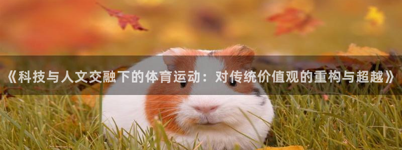 球王会体育：《科技与人文交融下的体育运动：对传统价值观的重构与超越》