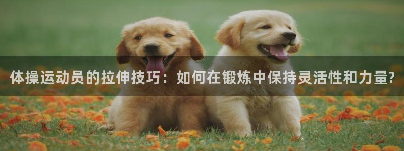 球王会体育：体操运动员的拉伸技巧：如何在锻炼中保持灵活性和力量?