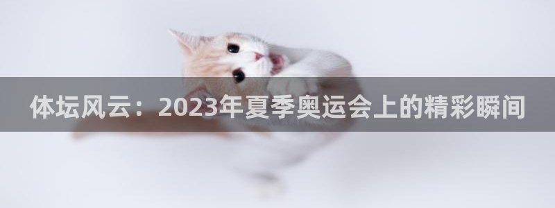 球王会体育：体坛风云：2023年夏季奥运会上的精彩瞬间