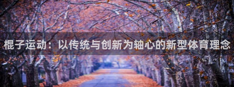 球王会体育