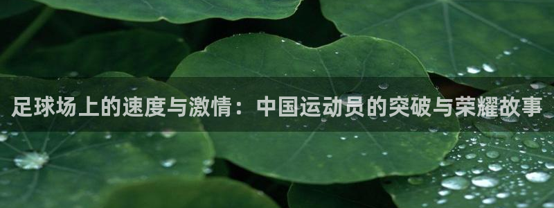 球王会体育：足球场上的速度与激情：中国运动员的突破与荣耀故事