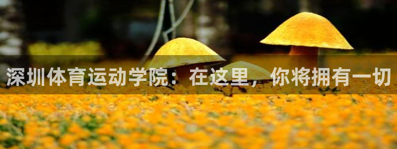 球王会体育：深圳体育运动学院：在这里，你将拥有一切